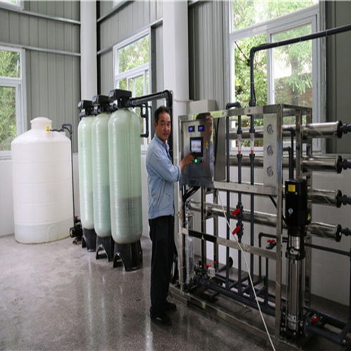 【巢湖2噸二級反滲透純水機,河水過濾除鹽去鈣鎂離子純凈水】-