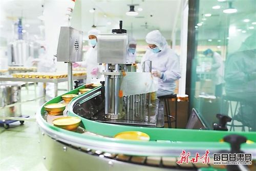 科技賦能 種源革新 榆中縣推動蘭州百合產業提質增效