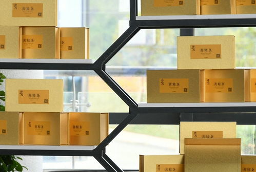 麻江 產業大招商為高質量發展聚勢賦能